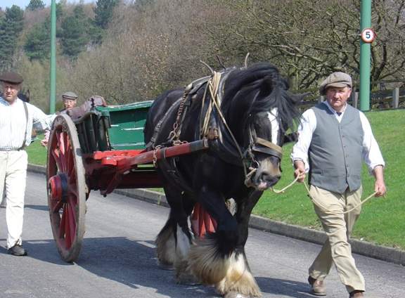 Horse and Cart